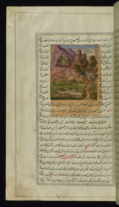 Due falchi e un nido di corvo da Luci di Canopo da Persian School