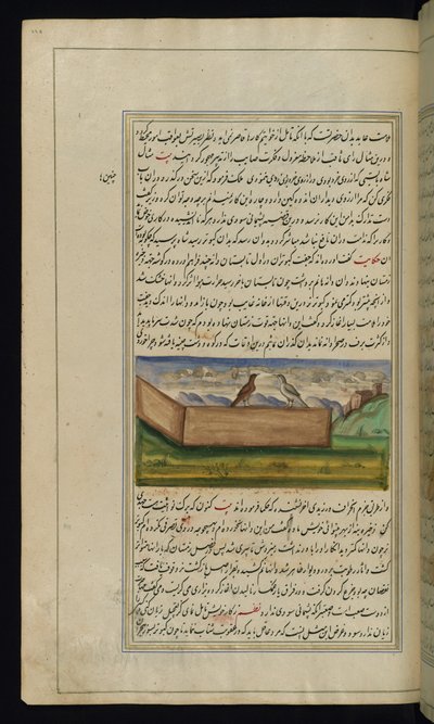 Due piccioni e una scorta di grano da Luci di Canopo da Persian School