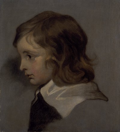 Testa di un ragazzo giovane da Peter (follower of) Lely