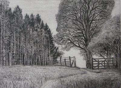 Il sentiero del bosco - Primavera da Peter A Ford
