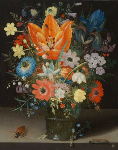 Natura morta con iris, 1623 da Peter Binoit