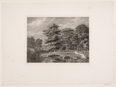 Fiume tra rive boscose da Peter Christian Schøler