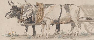 Due buoi che tirano un carro da Peter Christian Thamsen Skovgaard