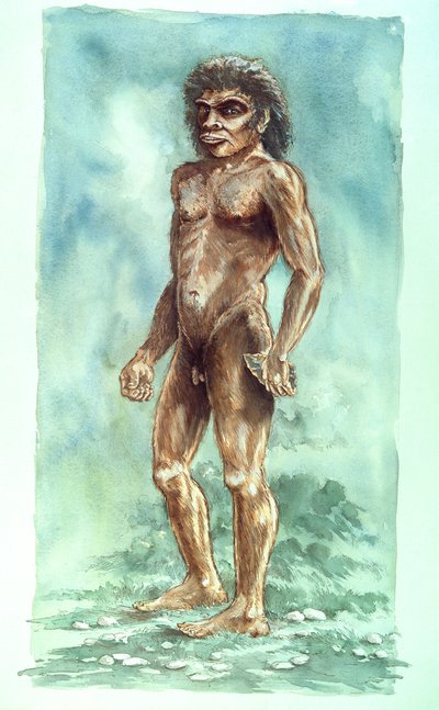 Uomo di Boxgrove, preistorico, 1990-2010 da Peter Dunn