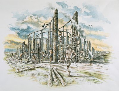 Durrington Walls, Wiltshire da Peter Dunn