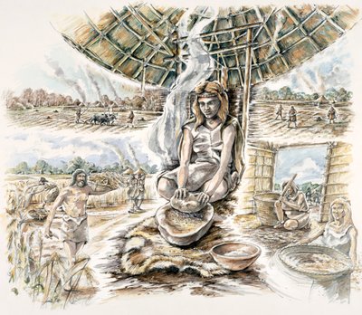 Produzione di grano neolitico, c1990-2010 da Peter Dunn