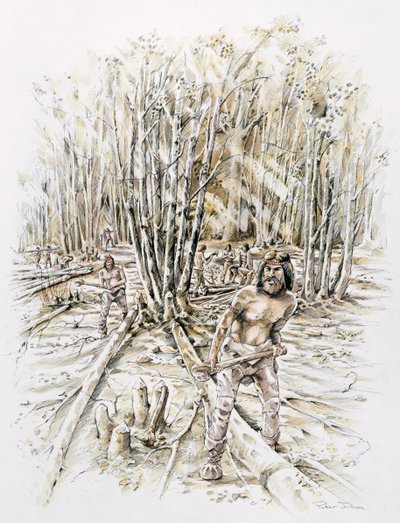 Usi della selce - ceduazione, preistorico, c1990-2010 da Peter Dunn