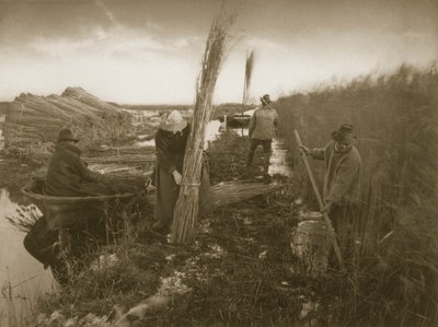 Durante la Raccolta delle Canne, Vita e Paesaggio sui Norfolk Broads, c.1886 da Peter Emerson und Thomas Goodall