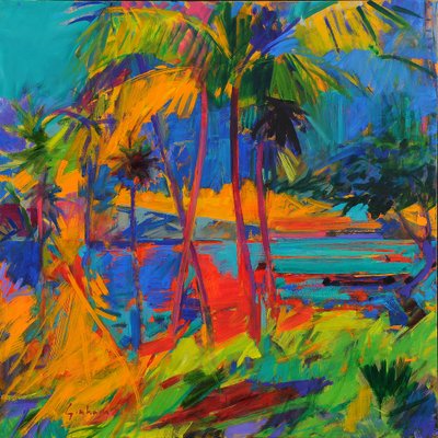 Hawaii Optical, 2024 da Peter Graham