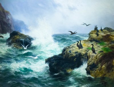 Costa rocciosa da Peter Graham