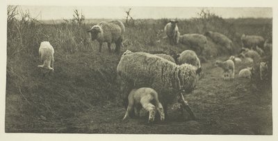 Una pastorale di marzo (Suffolk) da Peter Henry Emerson