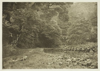 Un angolo di tranquillità a Beresford Dale da Peter Henry Emerson