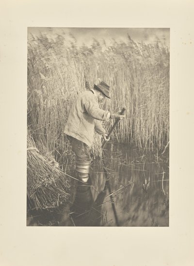  da Peter Henry Emerson