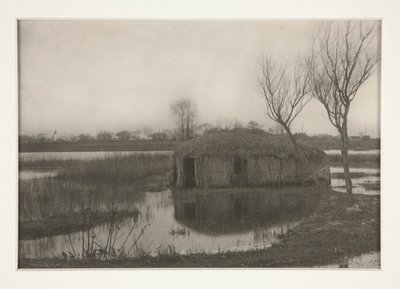 Una casa-barca di canne, Tavola XXXI da Vita e paesaggio sui Norfolk Boards da Peter Henry Emerson
