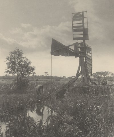 Un mulino ad acqua in rovina da Peter Henry Emerson