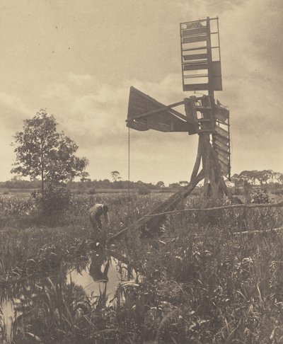  da Peter Henry Emerson