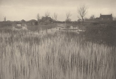 Una spiaggia di rushi, 1886 (foto) da Peter Henry Emerson