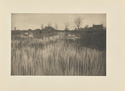 Una costa lussureggiante da Peter Henry Emerson