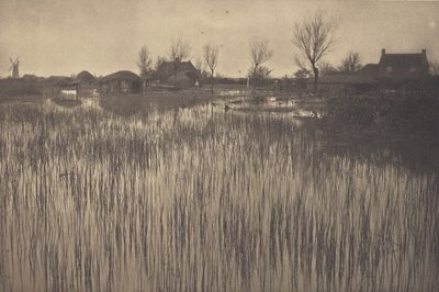 Una costa lussureggiante da Peter Henry Emerson