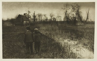 Un rospo sul sentiero: inizio primavera a Norfolk da Peter Henry Emerson