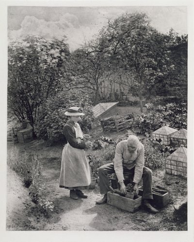Un vecchio e sua figlia che fanno giardinaggio da Peter Henry Emerson