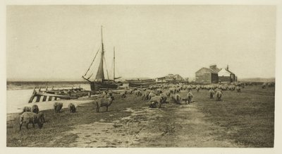 Blackshore, fiume Blythe (Suffolk) da Peter Henry Emerson