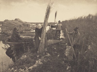  da Peter Henry Emerson