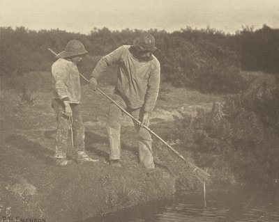 AnguillaPrelievo nelle acque del Suffolk da Peter Henry Emerson