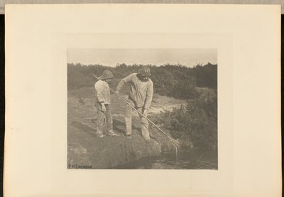 AnguillaPrelievo nelle acque del Suffolk da Peter Henry Emerson