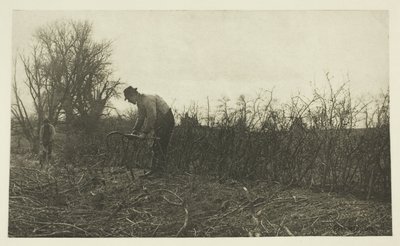 Scherma nel Suffolk da Peter Henry Emerson