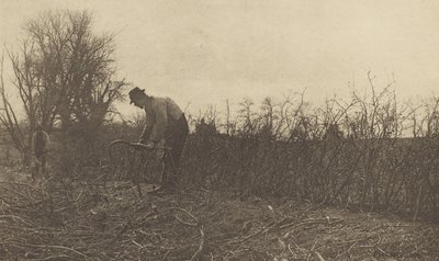 Recinzione in Suffolk da Peter Henry Emerson
