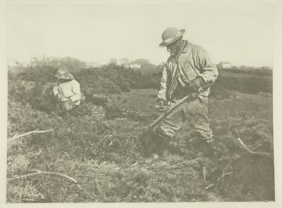 Taglio di ginestra su una comune del Suffolk da Peter Henry Emerson