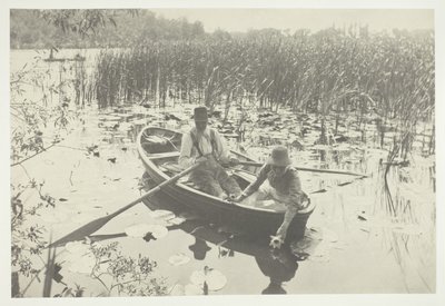 Raccolta di ninfee da Peter Henry Emerson
