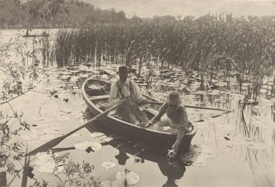 Raccogliere le ninfee da Peter Henry Emerson