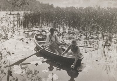Raccolta di ninfee da Peter Henry Emerson