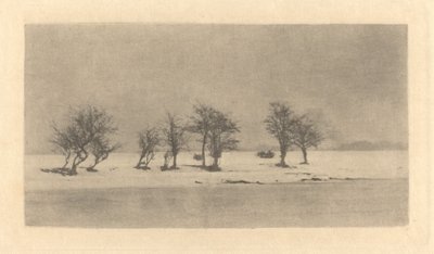 Alberi spinosi contorti da Peter Henry Emerson