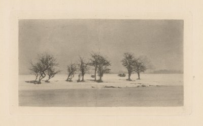 Alberi di spino nodosi da Peter Henry Emerson