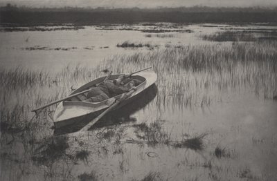 Cacciatore che lavora fino agli uccelli da Peter Henry Emerson