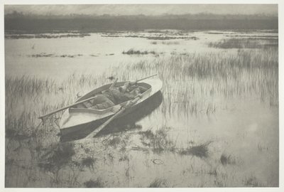 Artigliere che lavora fino a Fowl da Peter Henry Emerson