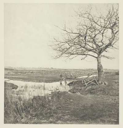 Marzo senza foglie (Suffolk) da Peter Henry Emerson