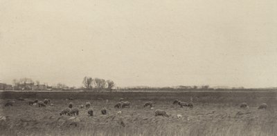 Paludi del Mare del Nord da Peter Henry Emerson