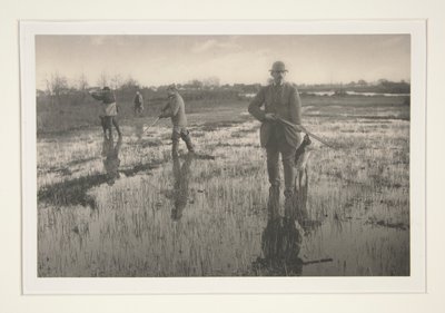 Uomini che cacciano in una palude da Peter Henry Emerson