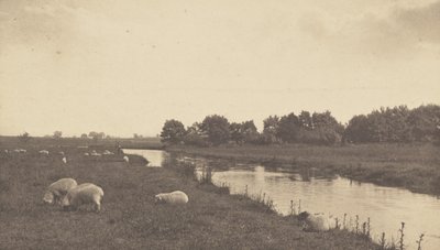 Sul fiume Bure da Peter Henry Emerson