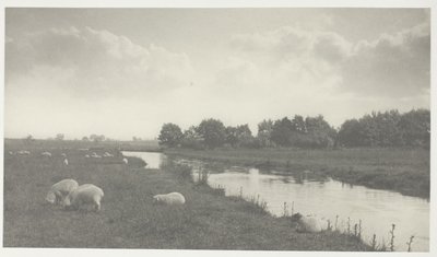 Sul fiume Bure da Peter Henry Emerson
