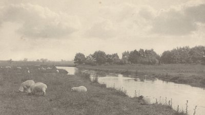Sul fiume Bure, 1886 da Peter Henry Emerson