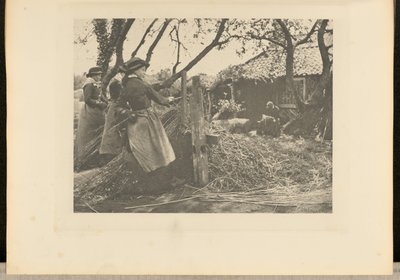 ViminiPeeling. [Norfolk]. da Peter Henry Emerson