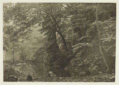 "Pike Pool" (dal basso) da Peter Henry Emerson