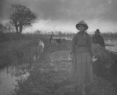 Raccolta del fieno nella palude da Peter Henry Emerson