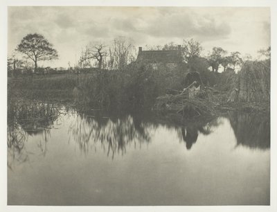 Quantificare il Gladdon da Peter Henry Emerson