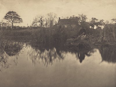 Spingere una barca con la pertica sul Gladdon da Peter Henry Emerson